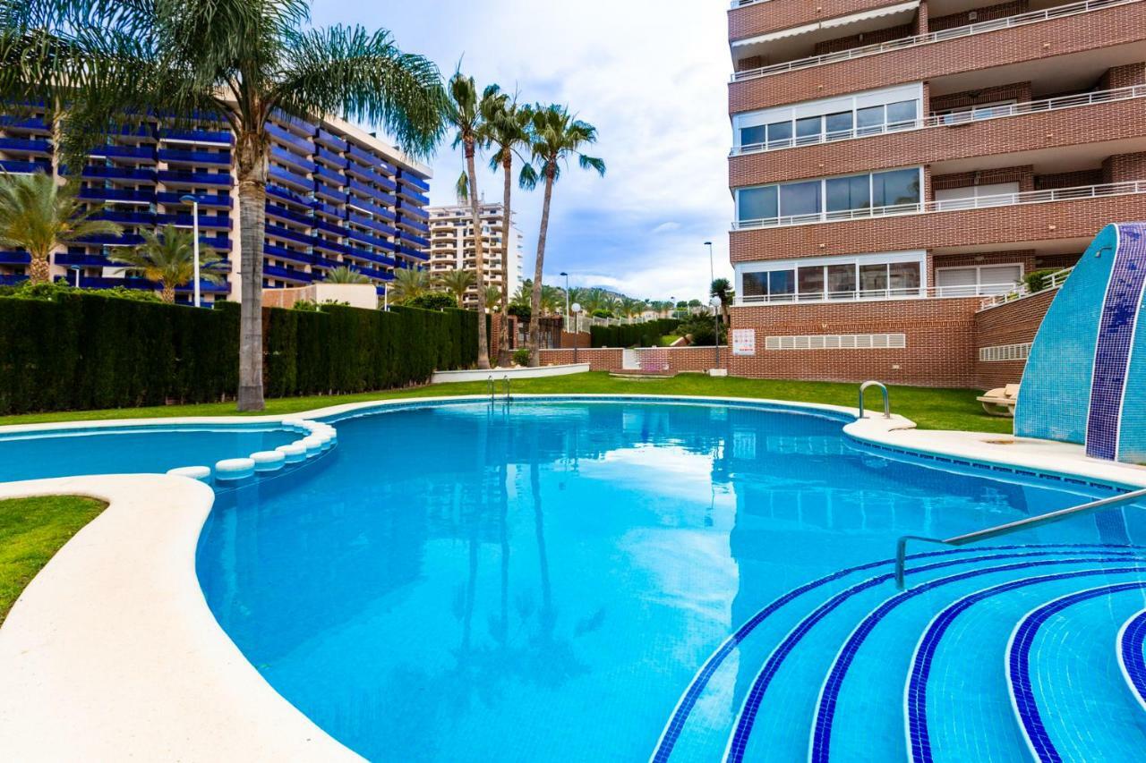 Hola Apartment Benidorm Dış mekan fotoğraf